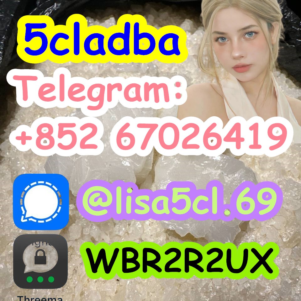 Yellow Powder Cannabinoid 5cl-adb-a 5CL-ADB-A 5cladba  - 2bc2e1903bae4d208e0902e69ca97c38.jpg